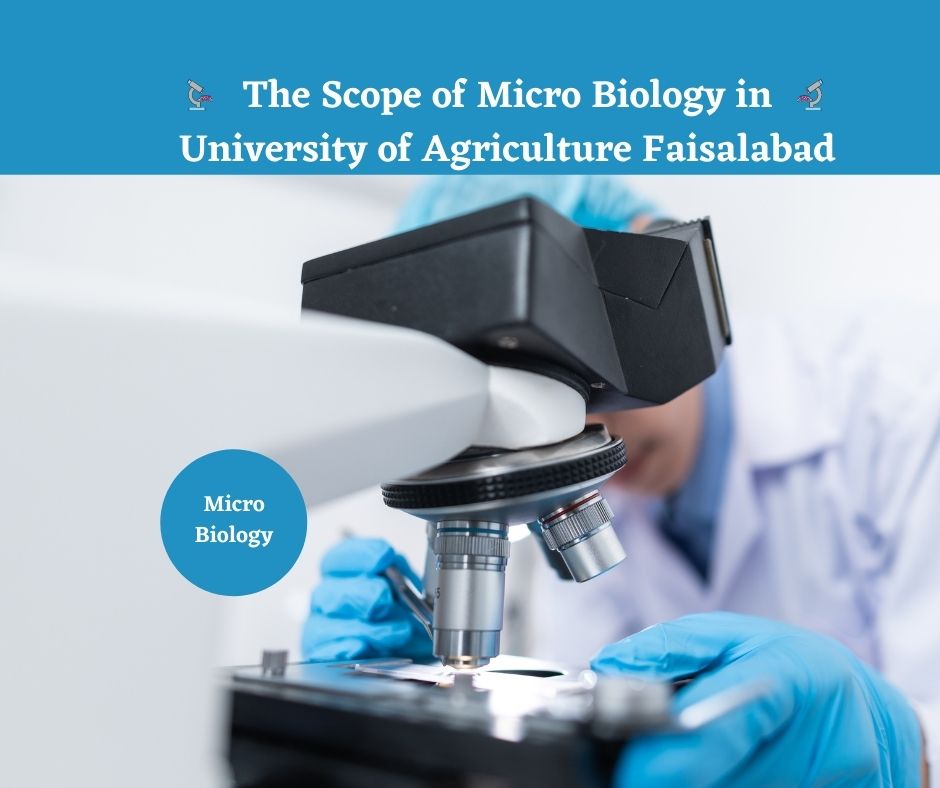 Scope of Microbiology in University of Agriculture Faisalabad